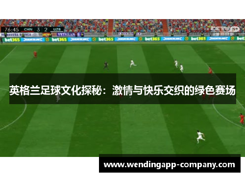 英格兰足球文化探秘：激情与快乐交织的绿色赛场