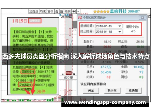 西多夫球员类型分析指南 深入解析球场角色与技术特点