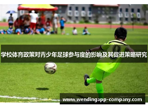 学校体育政策对青少年足球参与度的影响及其促进策略研究