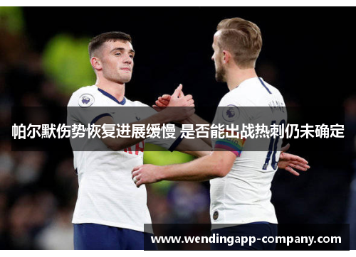 帕尔默伤势恢复进展缓慢 是否能出战热刺仍未确定 帕尔默伤势恢复进展缓慢 是否能出战热刺仍未确定