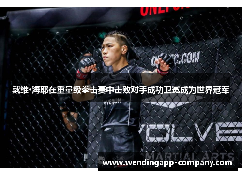 戴维·海耶在重量级拳击赛中击败对手成功卫冕成为世界冠军 戴维·海耶在重量级拳击赛中击败对手成功卫冕成为世界冠军