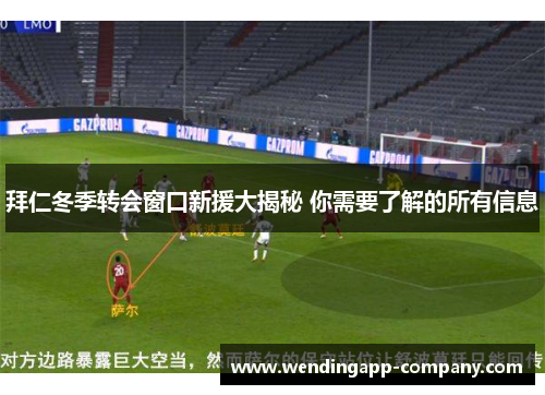 拜仁冬季转会窗口新援大揭秘 你需要了解的所有信息 拜仁冬季转会窗口新援大揭秘 你需要了解的所有信息