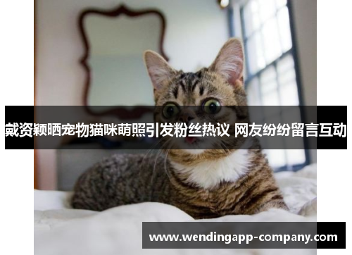 戴资颖晒宠物猫咪萌照引发粉丝热议 网友纷纷留言互动 戴资颖晒宠物猫咪萌照引发粉丝热议 网友纷纷留言互动