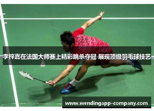 李梓嘉在法国大师赛上精彩跳杀夺冠 展现顶级羽毛球技艺 李梓嘉在法国大师赛上精彩跳杀夺冠 展现顶级羽毛球技艺