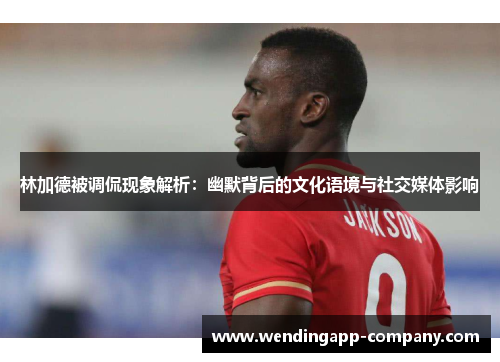 林加德被调侃现象解析：幽默背后的文化语境与社交媒体影响