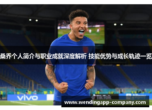 桑乔个人简介与职业成就深度解析 技能优势与成长轨迹一览