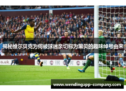 揭秘维尔贝克为何被球迷亲切称为黑贝的趣味绰号由来 揭秘维尔贝克为何被球迷亲切称为黑贝的趣味绰号由来