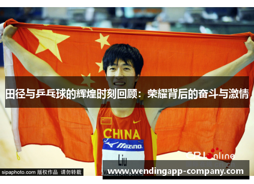 田径与乒乓球的辉煌时刻回顾：荣耀背后的奋斗与激情