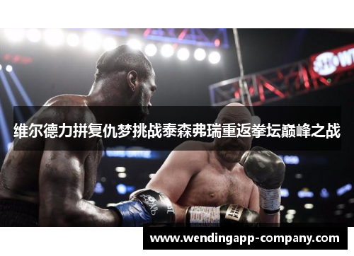 维尔德力拼复仇梦挑战泰森弗瑞重返拳坛巅峰之战 维尔德力拼复仇梦挑战泰森弗瑞重返拳坛巅峰之战