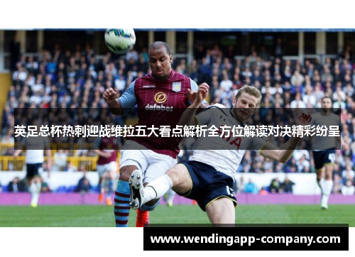 英足总杯热刺迎战维拉五大看点解析全方位解读对决精彩纷呈