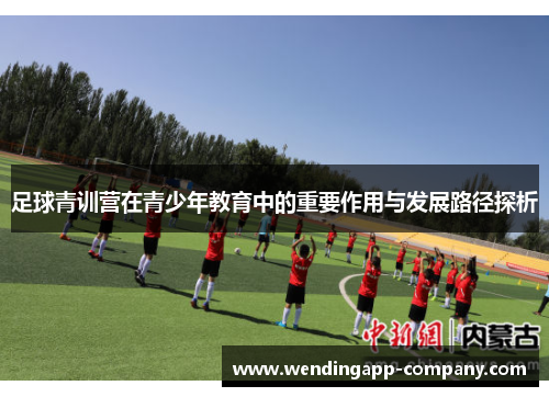 足球青训营在青少年教育中的重要作用与发展路径探析
