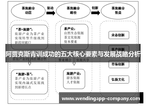 阿贾克斯青训成功的五大核心要素与发展战略分析 阿贾克斯青训成功的五大核心要素与发展战略分析