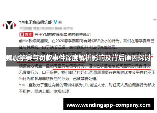 魏震禁赛与罚款事件深度解析影响及背后原因探讨 魏震禁赛与罚款事件深度解析影响及背后原因探讨