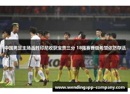中国男足主场战胜印尼收获宝贵三分 18强赛晋级希望依然存活 中国男足主场战胜印尼收获宝贵三分 18强赛晋级希望依然存活