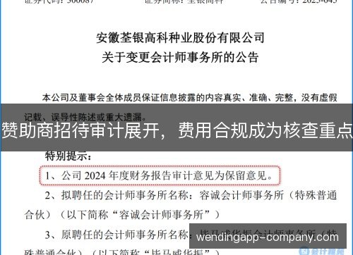 赞助商招待审计展开，费用合规成为核查重点